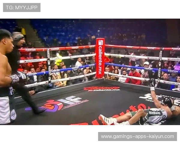 拳击重拳命中裁判立即读秒——速度、力量与荣耀的极限碰撞